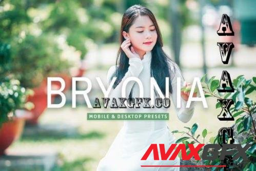 Bryonia Pro Lightroom Presets