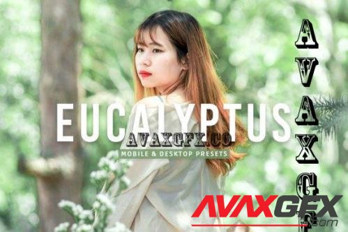 Eucalyptus Pro Lightroom Presets