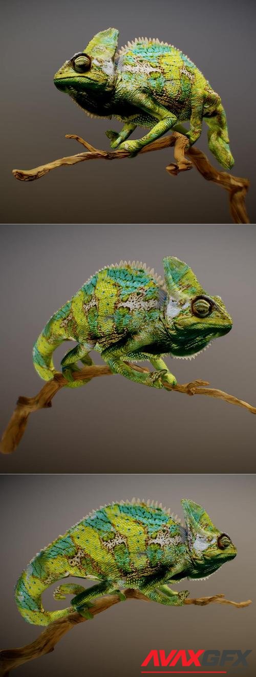 Chameleon Sculpt – 3D Print