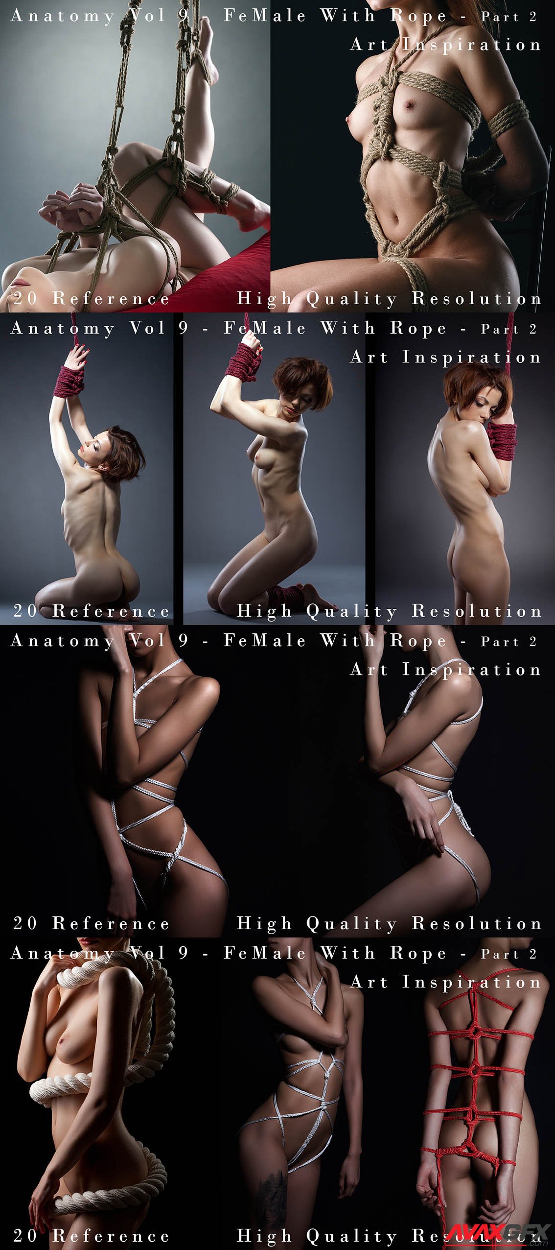 Anatomy Vol 9 – Female With Rope Part 2 - Art Inspiration