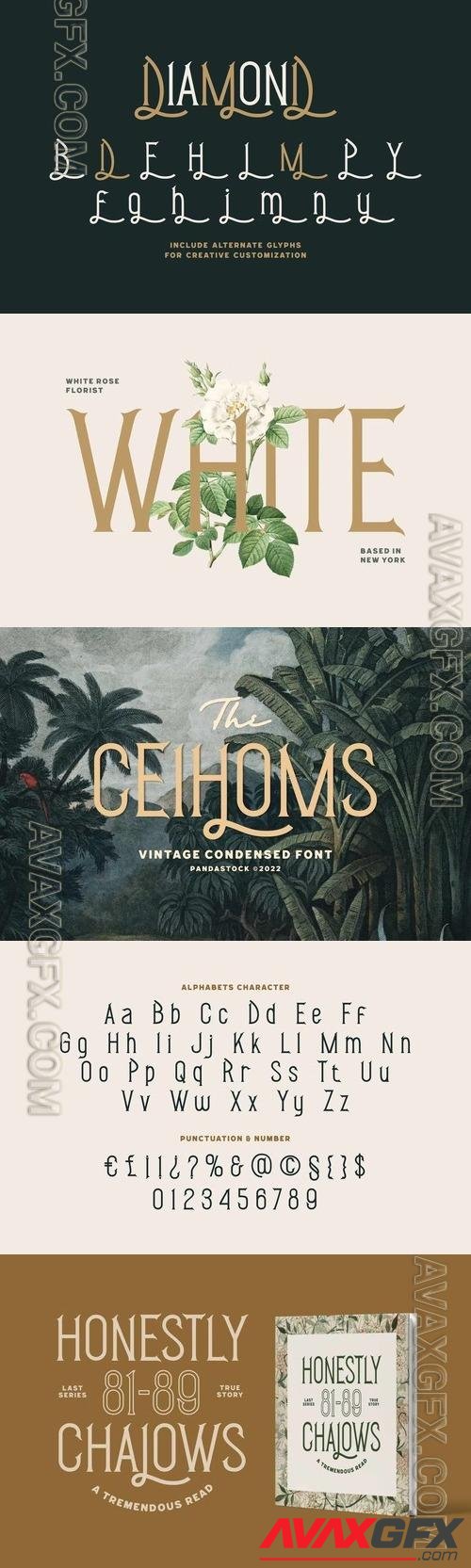 Ceihoms Condensed Font 24RG3TB