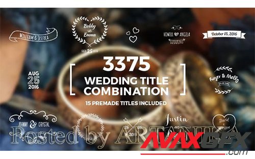 Elegant Wedding Title Combination Pack 14098344
