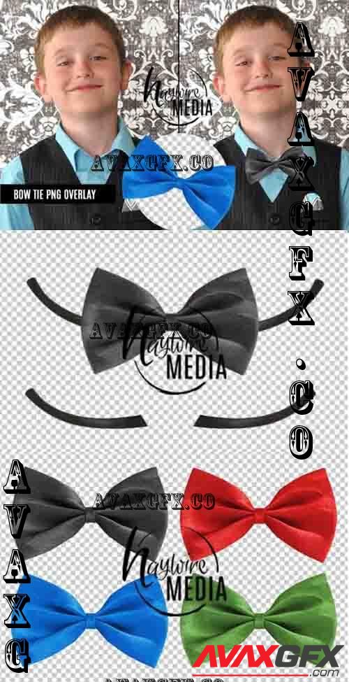 Transparent Bow Tie PNG Digital Prop