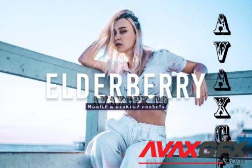 Elderberry Pro Lightroom Presets - 7403891