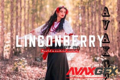 Lingonberry Pro Lightroom Presets - 7403893