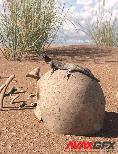 A Peck Of Dirt - Iray Ground and Dirt Shaders For Daz Studio