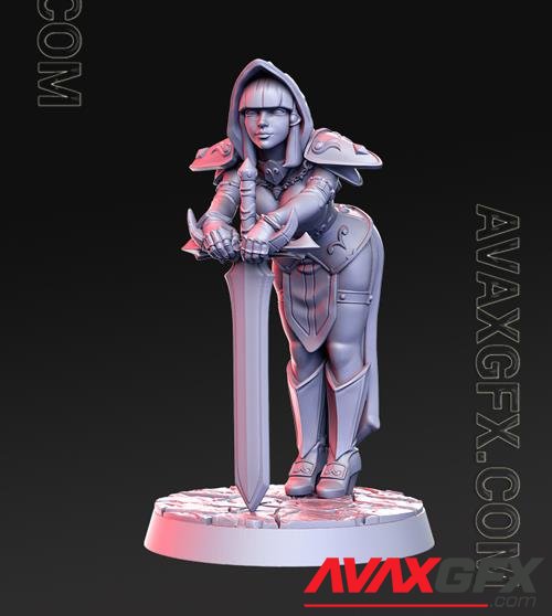 Silencia - Female Paladin 3D Print