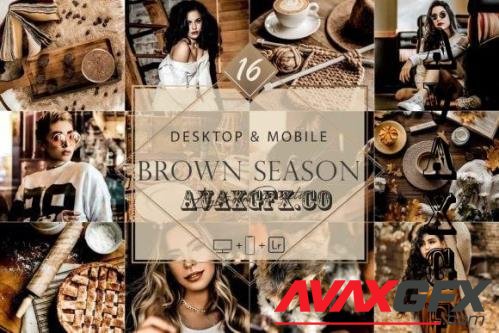 16 Brown Season Lightroom Presets, Moody