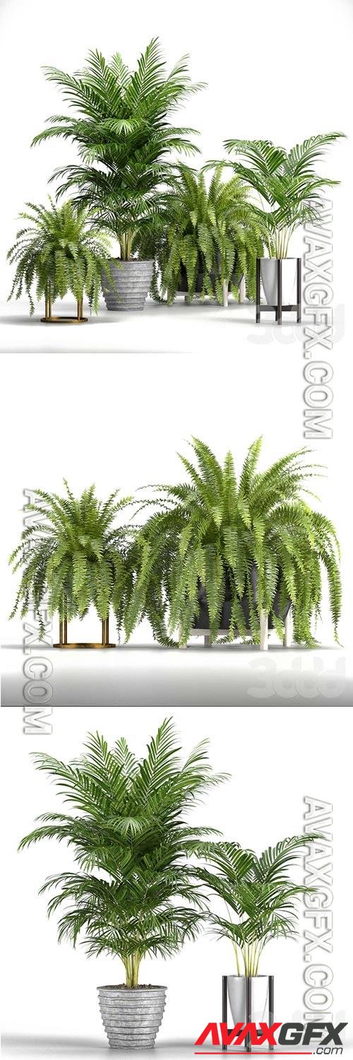 Set of Plants No 3 3D Model