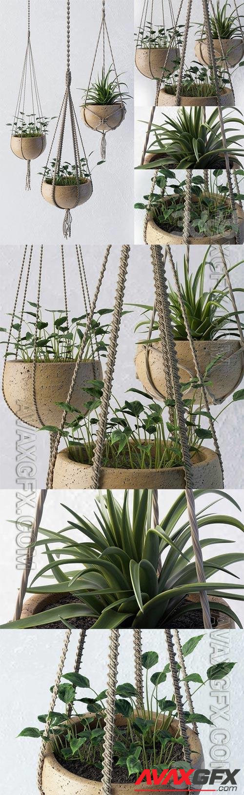 Decorative set of flower pots 3D Model