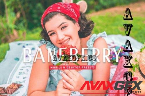 Baneberry Pro Lightroom Presets - 7469774