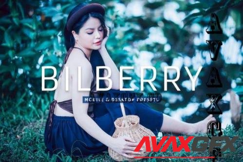 Bilberry Pro Lightroom Presets - 7469776