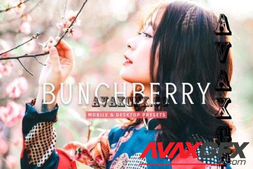 Bunchberry Pro Lightroom Presets - 7469777