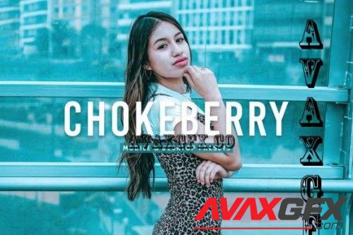 Chokeberry Pro Lightroom Presets - 7469780