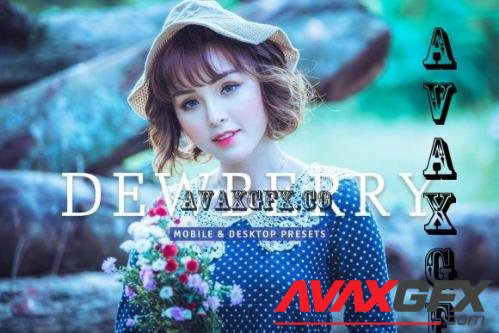 Dewberry Pro Lightroom Presets - 7469785