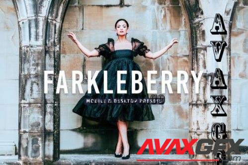 Farkleberry Pro Lightroom Presets - 7469788