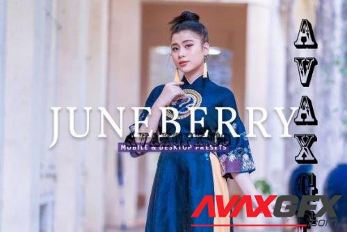 Juneberry Pro Lightroom Presets - 7473583