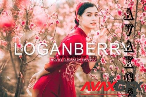 Loganberry Pro Lightroom Presets - 7473584