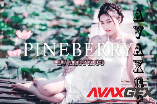 Pineberry Pro Lightroom Presets - 7473587