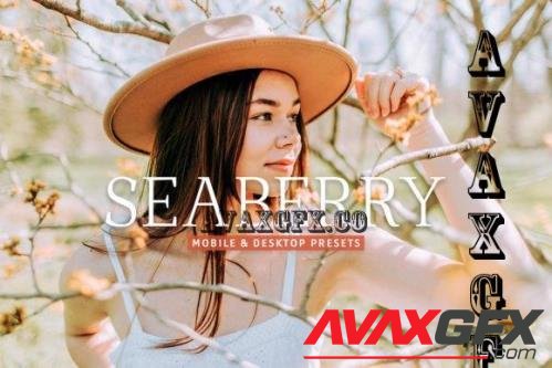 Seaberry Pro Lightroom Presets - 7473595