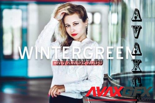 Wintergreen Pro Lightroom Presets - 7473624