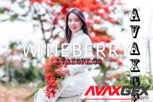 Wineberry Pro Lightroom Presets - 7473623