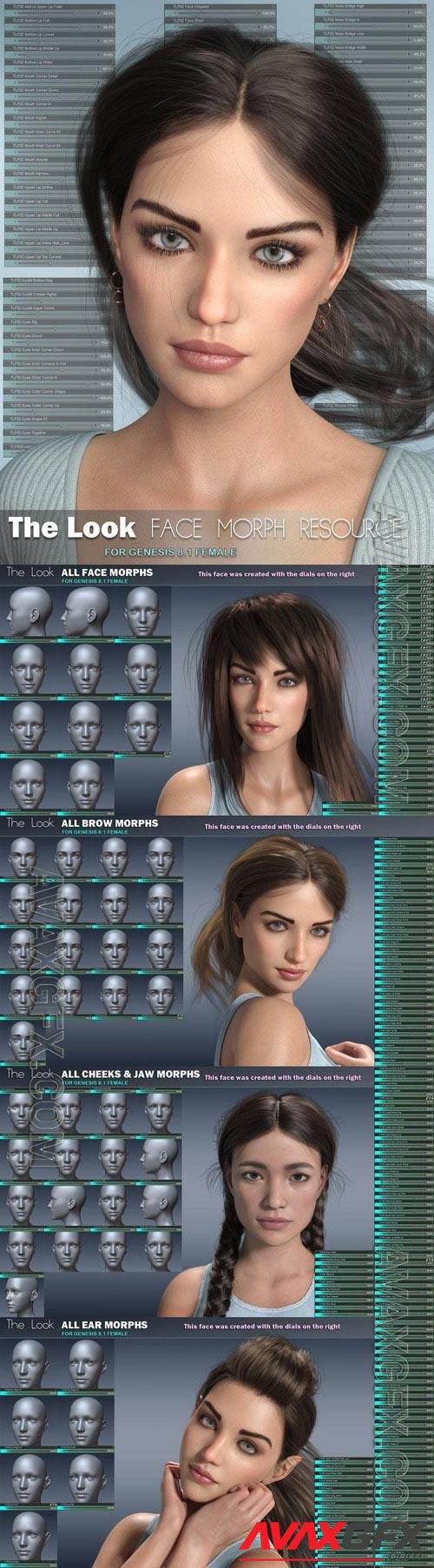 The Look Face Morph Resource for Genesis 8.1 Females