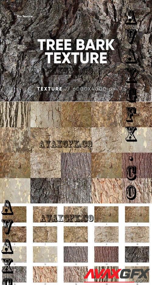 20 Tree Bark Textures - 7488659