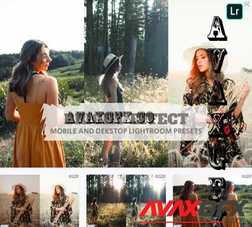 Bright Effect Lightroom Presets Dekstop and Mobile
