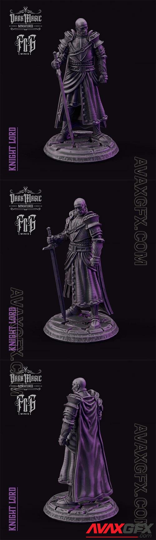 Knight Lord 3D Print