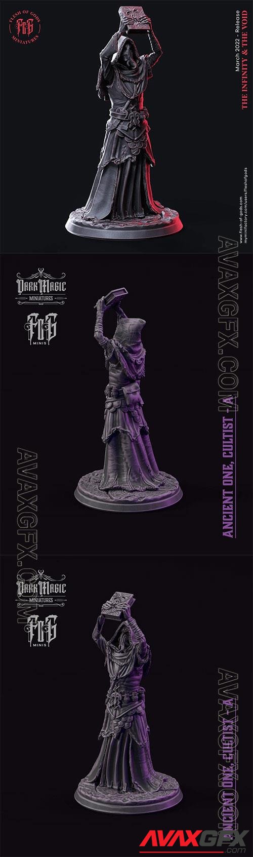 Ancient One Cultist 01 3D Print