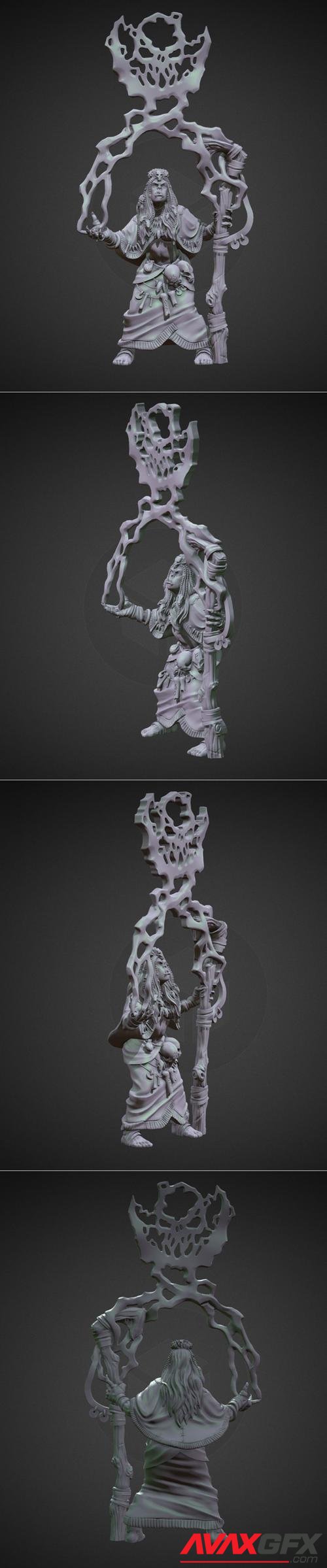 Thunder Shaman Orc Female – 3D Print