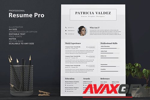 Professional Resume / CV