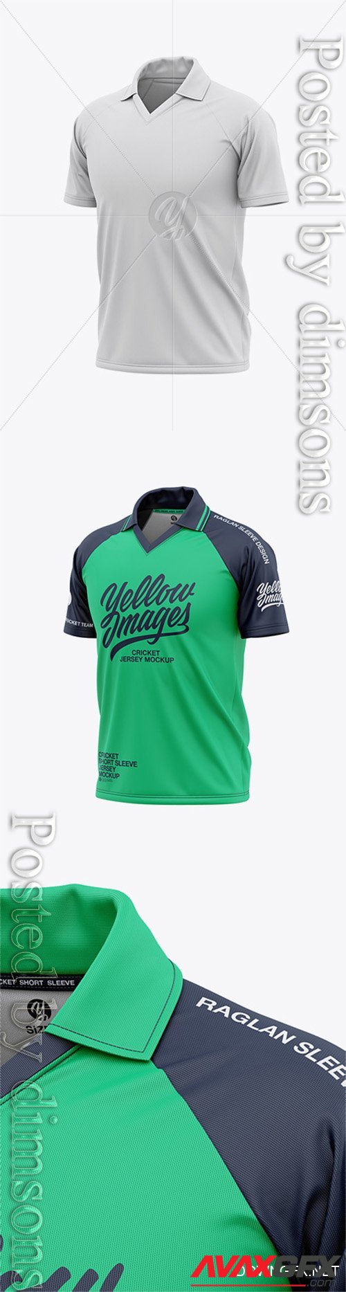 Men's Short Sleeve Cricket Jersey / Polo V-Neck Shirt - Front Half Side View 39941