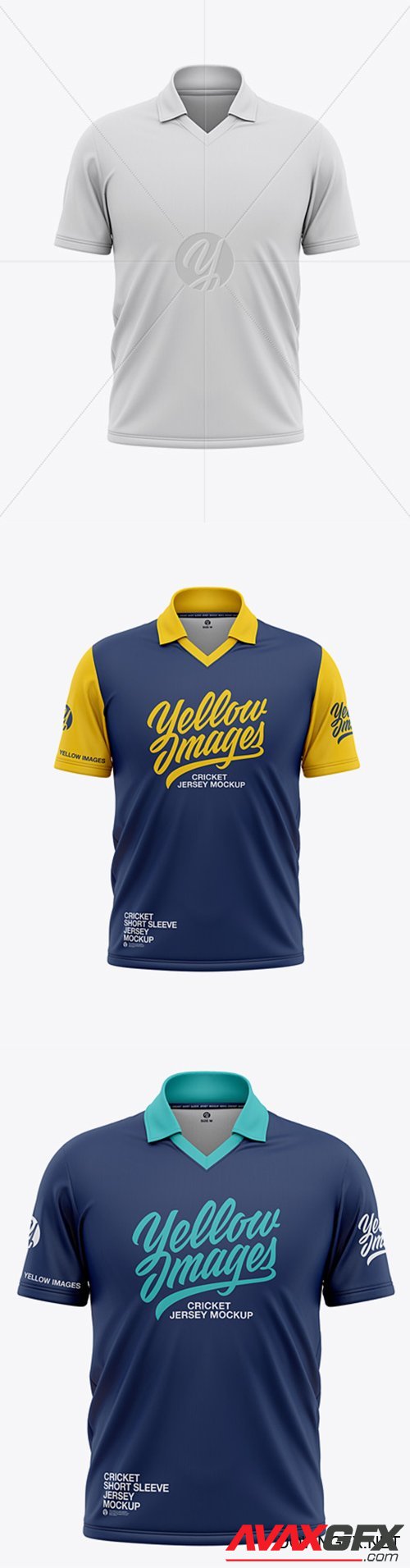Mens Regular Short Sleeve Cricket Jersey / Polo V-Neck Shirt - Front View 40261 TIF
