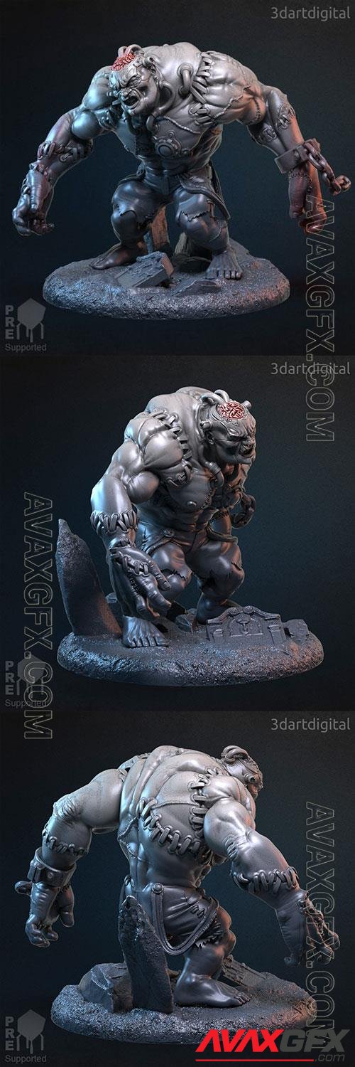 Ibin Franj Flesh Golem 3D Print