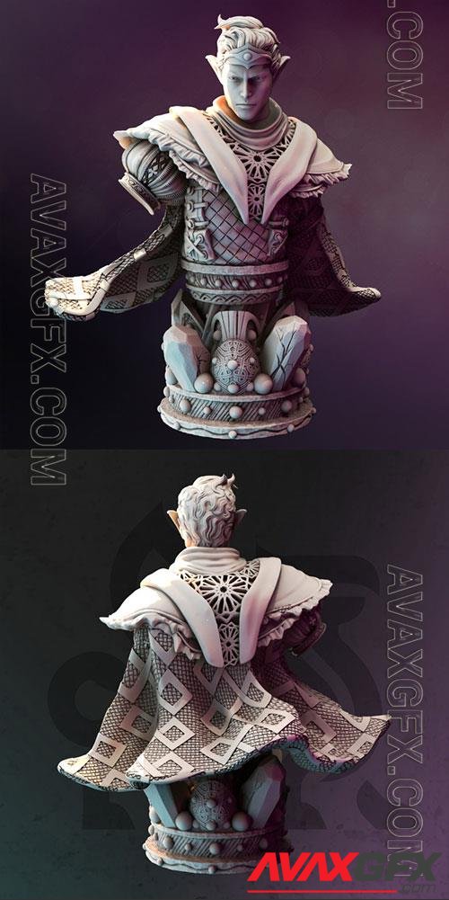 Drow Moon Sorcerer BUST - Yunas 3D Print