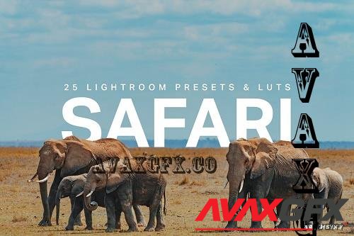 25 Safari Lightroom Presets LUTs - 7538790