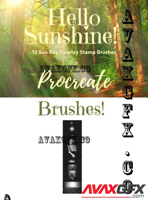 Procreate Sun Ray Overlay Stamps X12