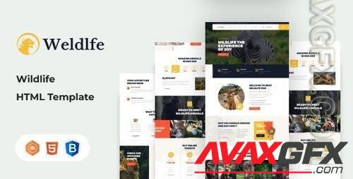 Weldlfe - Wildlife HTML Template 39011809