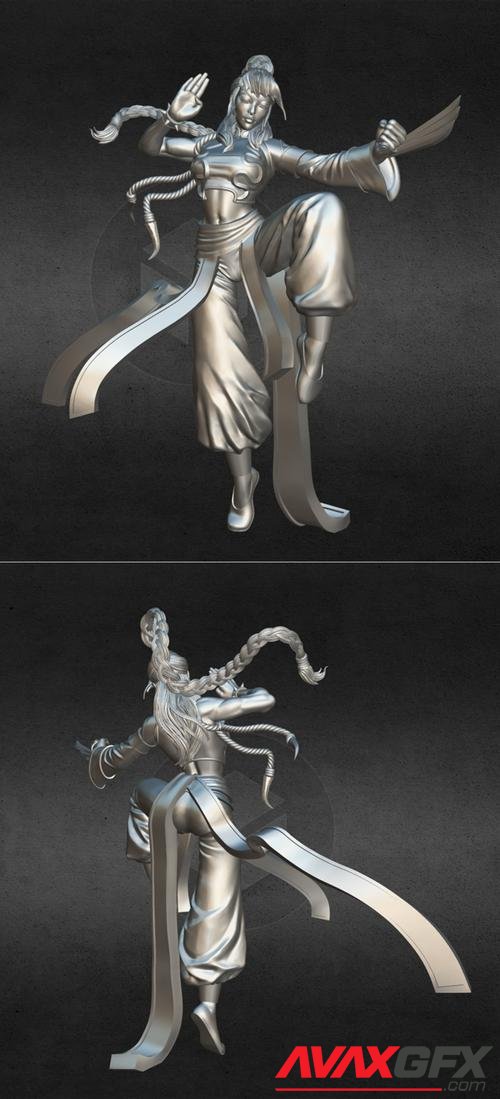 Sword and Sorcery - Shakiko (Monk Hero) – 3D Print