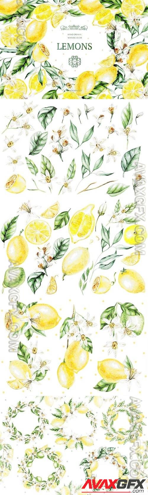 Hand Drawn Watercolor Lemons UBF357Z