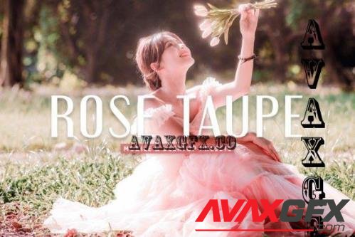 Rose Taupe Pro Lightroom Presets