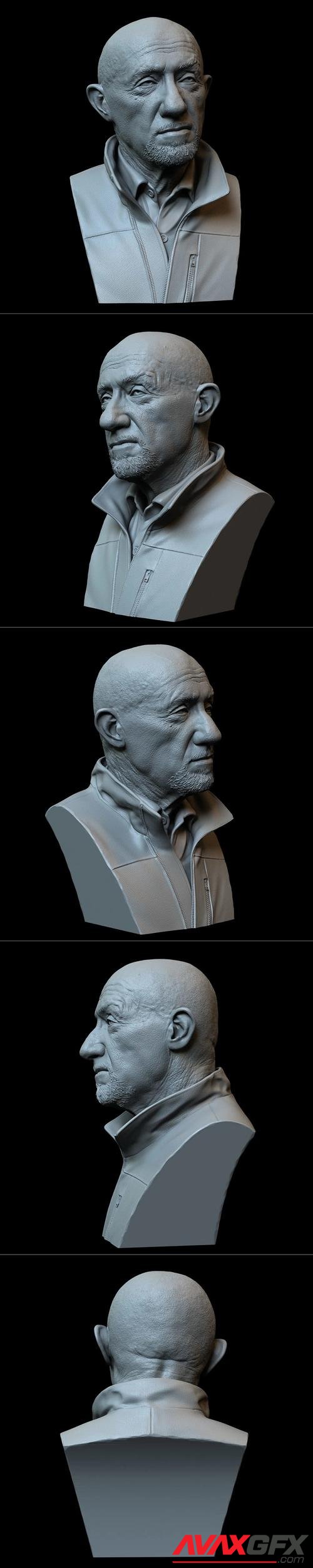 Mike Ehrmantraut (Jonathan Banks) from Breaking Bad and Better Call Saul – 3D Print