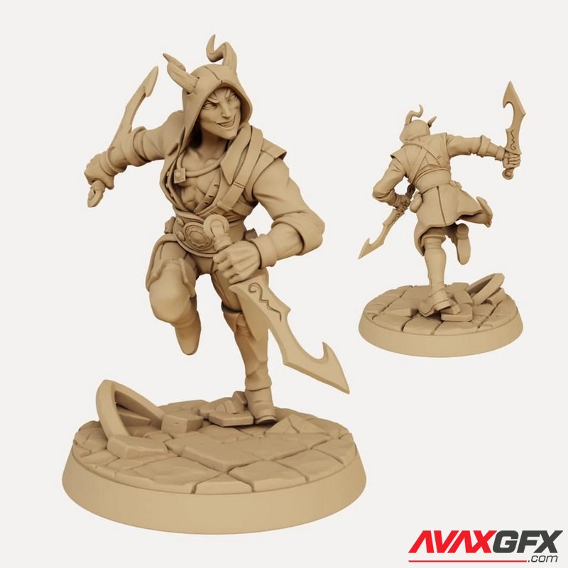 Mezzalfiend Trickster Male Assassin (Hooded) - 3D Print