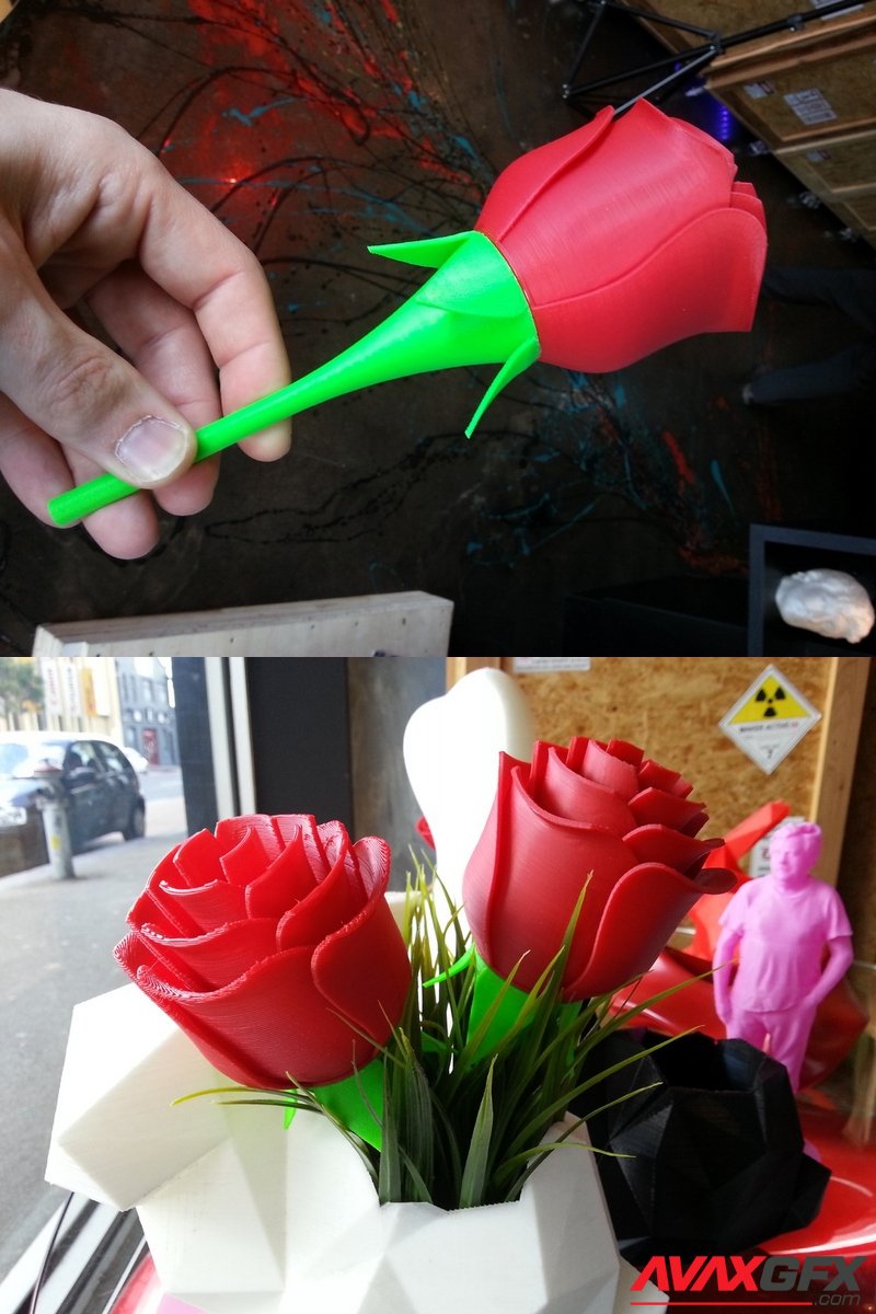 Rose - 3D Print Model