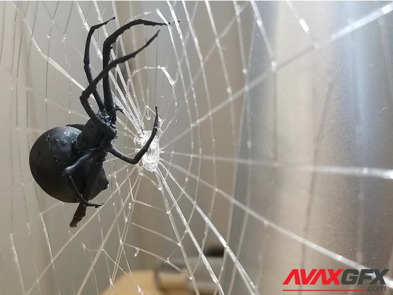 Detailed Spider + Web