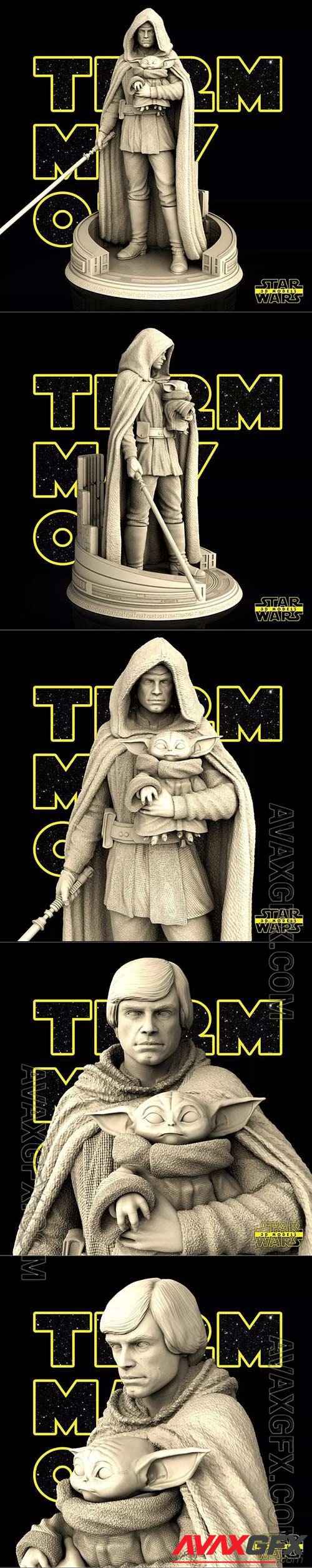 Star Wars – Luke Skywalker 3D Print