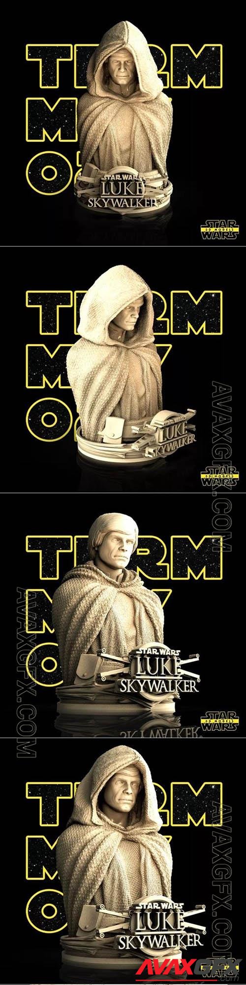 Star Wars – Luke Skywalker Bust 3D Print