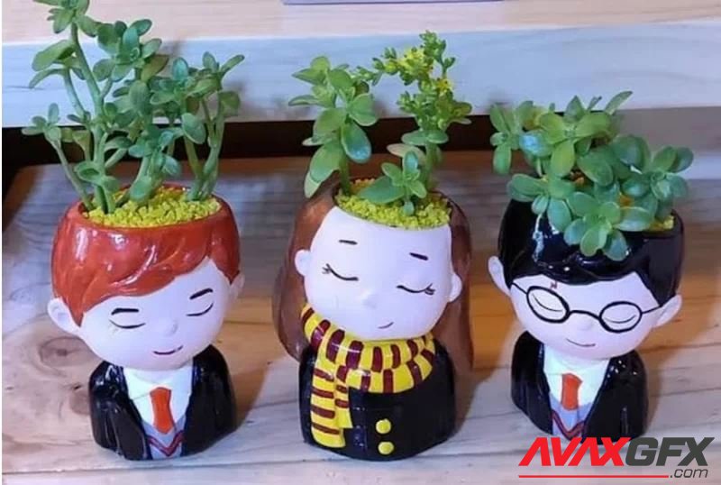 Harry Potter Pot